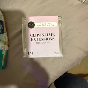 Toasted Marshmallow Clip-In Hair Extensions